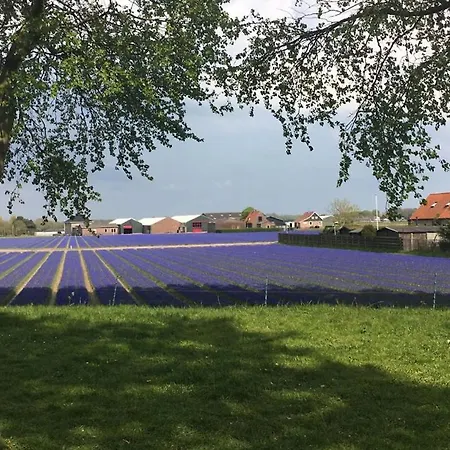 Vakantiebungalow בית נופש