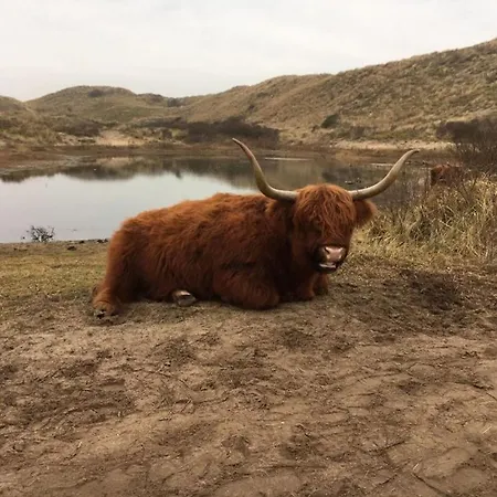 Vakantiebungalow 펜션 Limmen