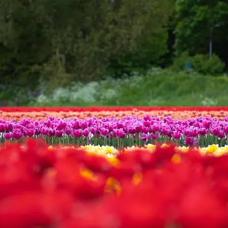 Vakantiebungalow 펜션