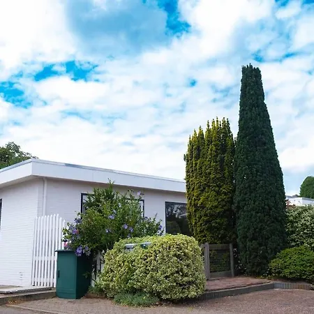 Vakantiebungalow 펜션 *