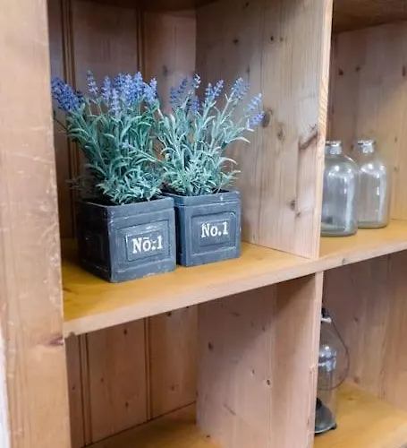 Vakantiebungalow 펜션