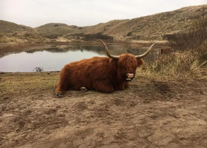 Vakantiebungalow 펜션 Limmen