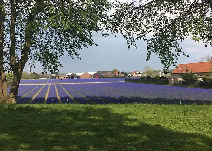 Vakantiebungalow 펜션