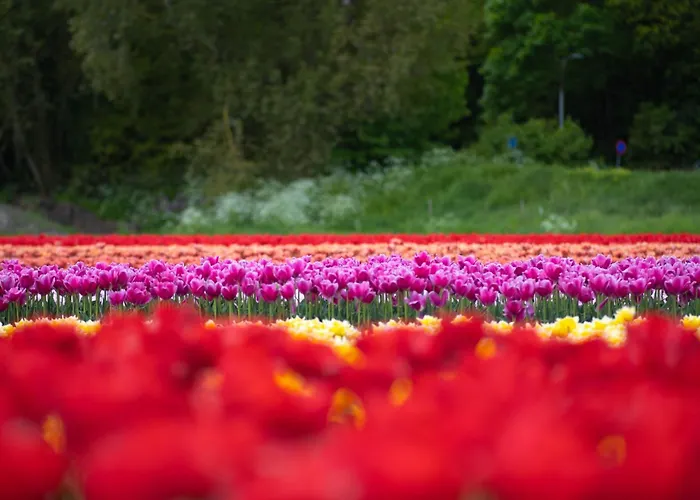 Vakantiebungalow 펜션