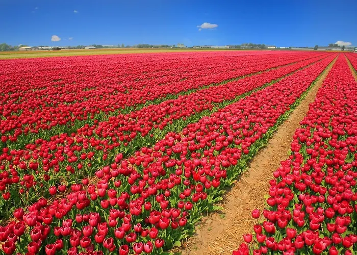 펜션 Vakantiebungalow *